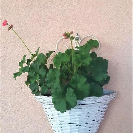 Family Nakiteya * Lublaň