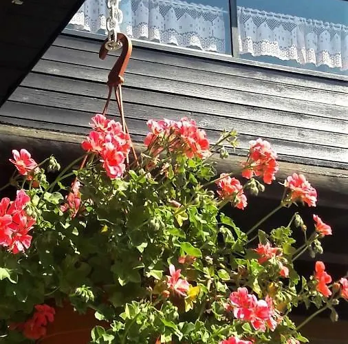 Appartement Family Nakiteya